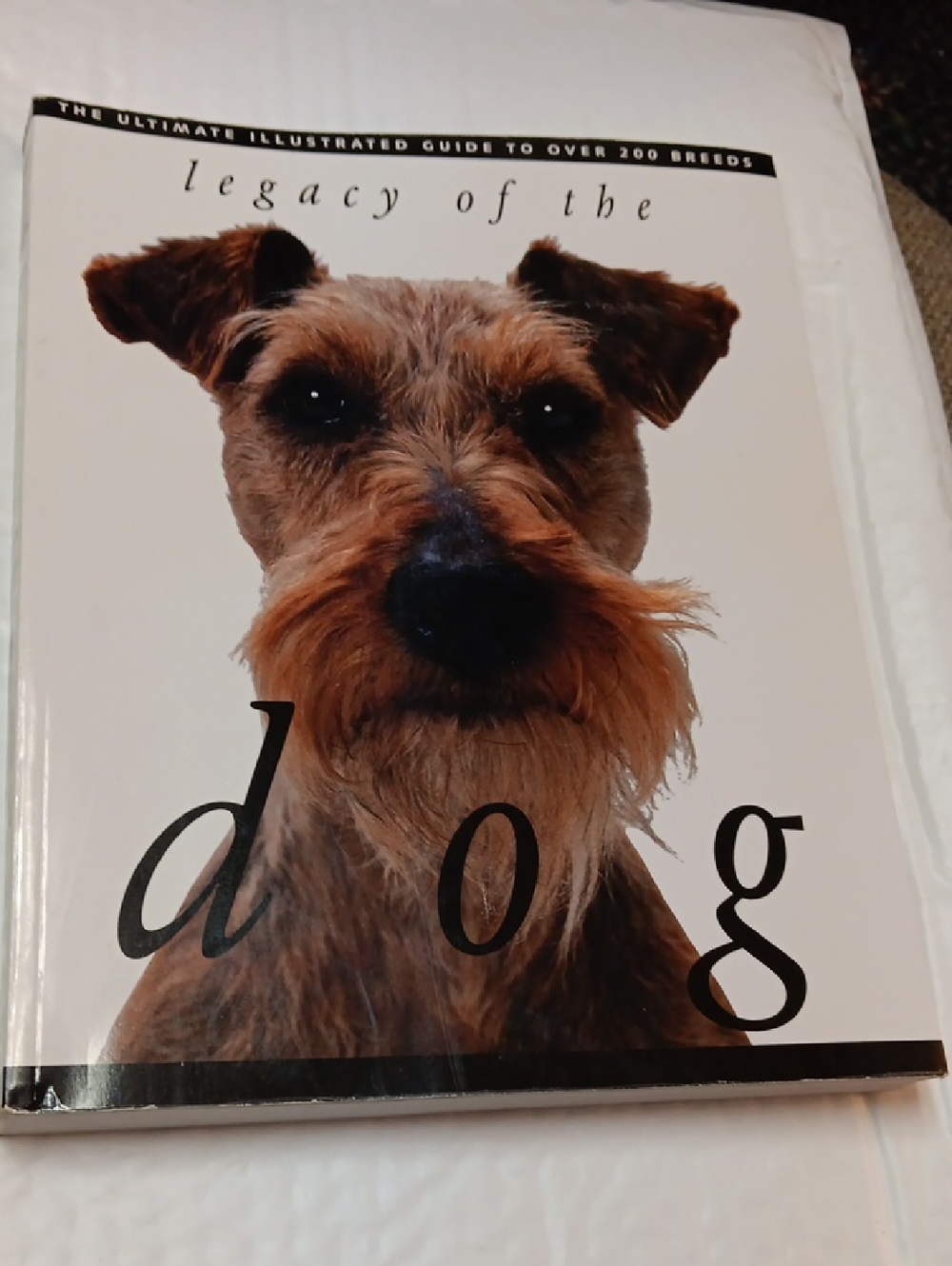 Legacy of the Dog Softcover - Brown Dog Cover